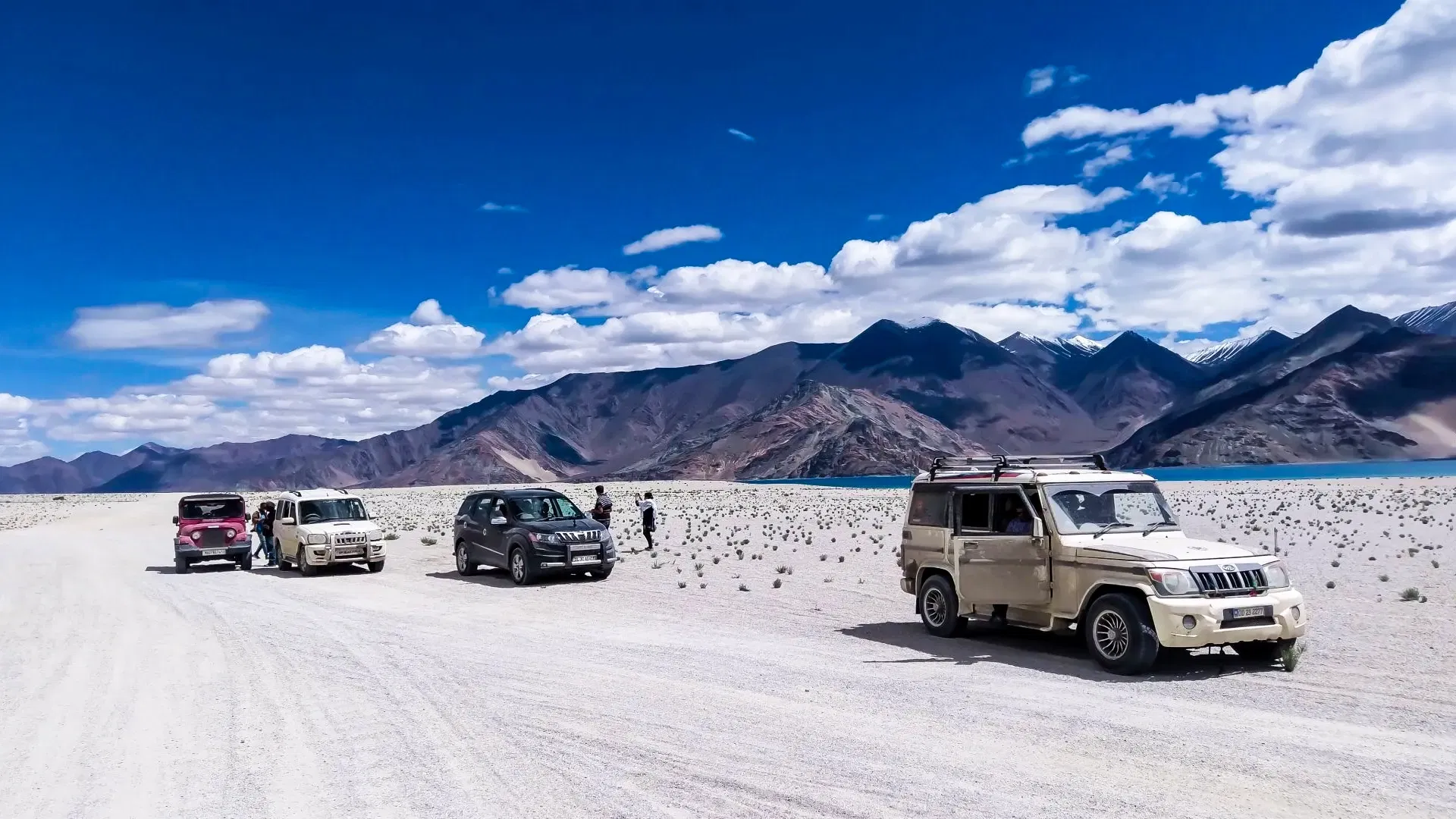 SUV Expedition in Ladakh